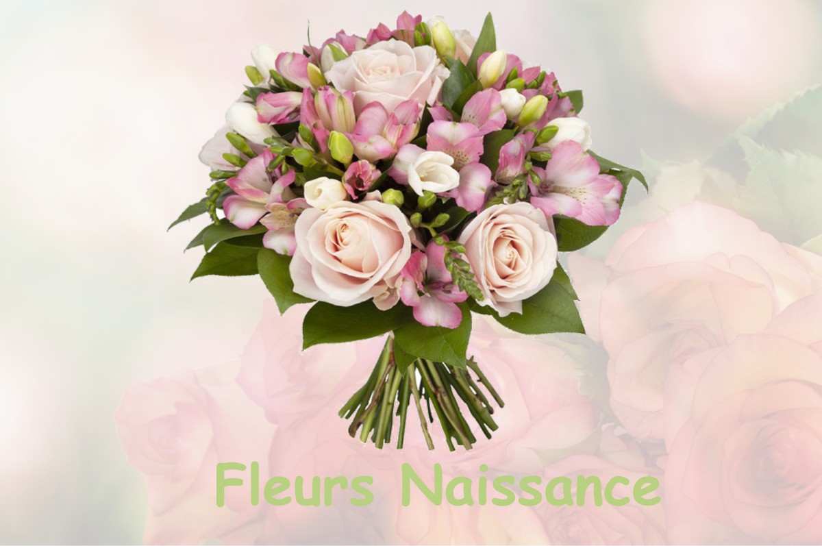 fleurs naissance PUISEAUX